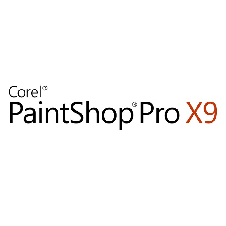 Corel PaintShop Pro Corporate Edition Maintenance (1 Yr) (251-500) maintenance/support fee