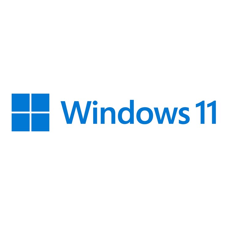 Microsoft Windows 11 Pro for Workstations 1 license(s)