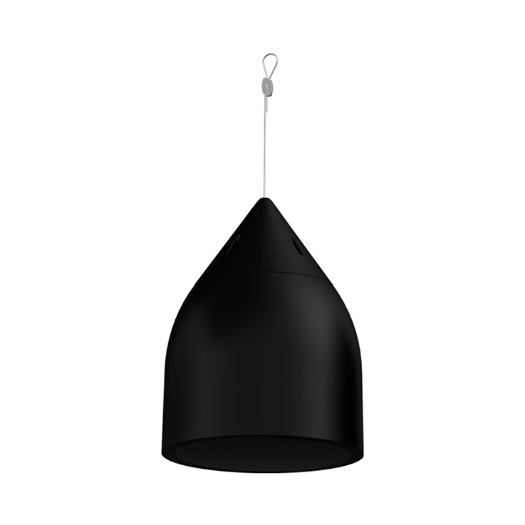 Biamp Desono DP8 Two-Way 8-inch High Output Pendant Mount Loudspeaker Black